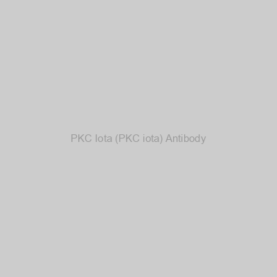 Abbexa - PKC Iota (PKC iota) Antibody